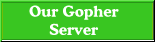 Our Gopher Server